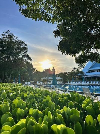 275 Palm Avenue, Unit C305, Jupiter, FL 33477 Photo