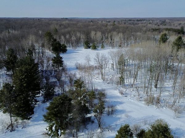 N N Felch Ave Avenue, White Cloud, MI 49349