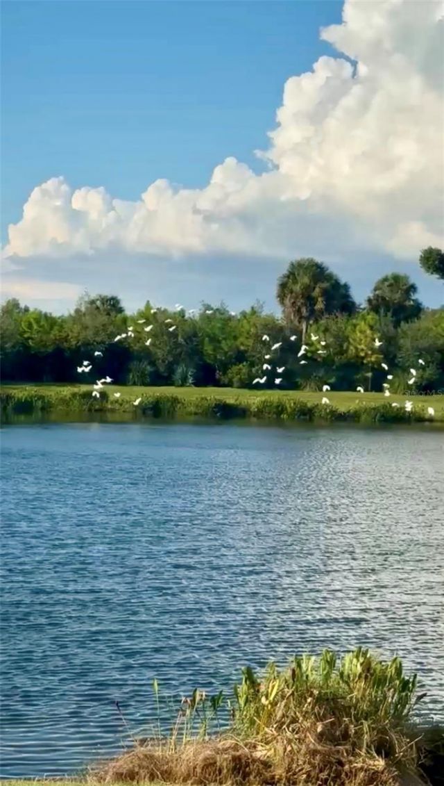 10253 Canaveral Circle, Sarasota, FL 34241 Photo