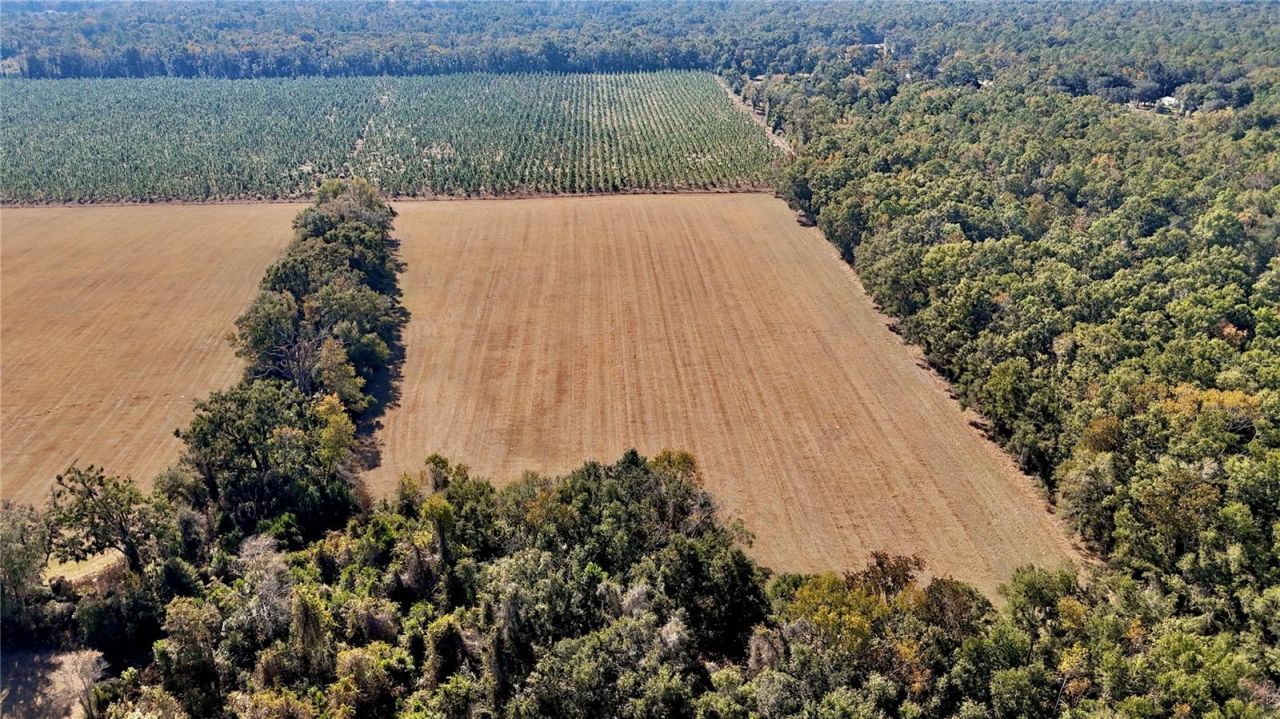 00 121st Rd, O Brien, FL 32071 Photo