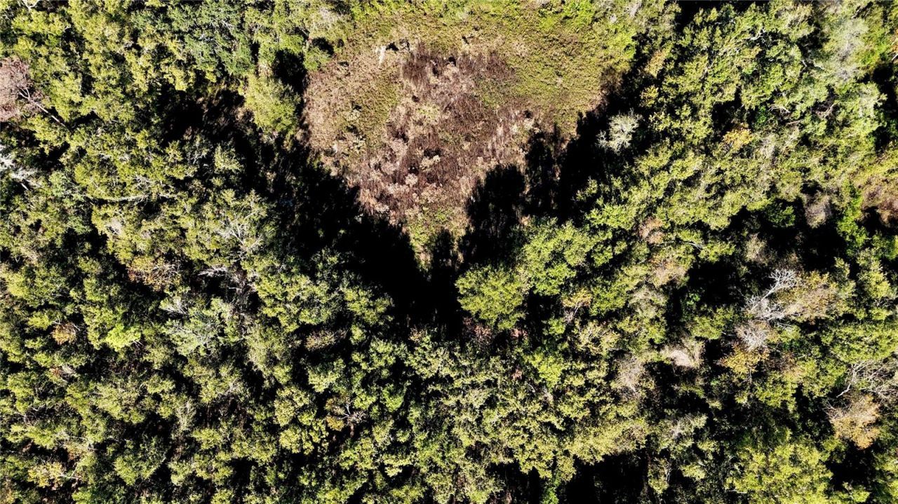 00 121st Rd, O Brien, FL 32071 Photo