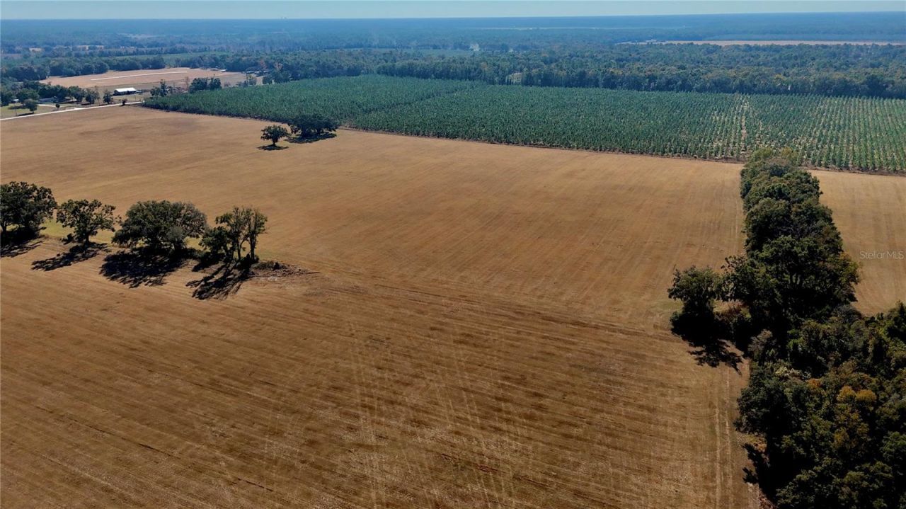 00 121st Rd, O Brien, FL 32071 Photo