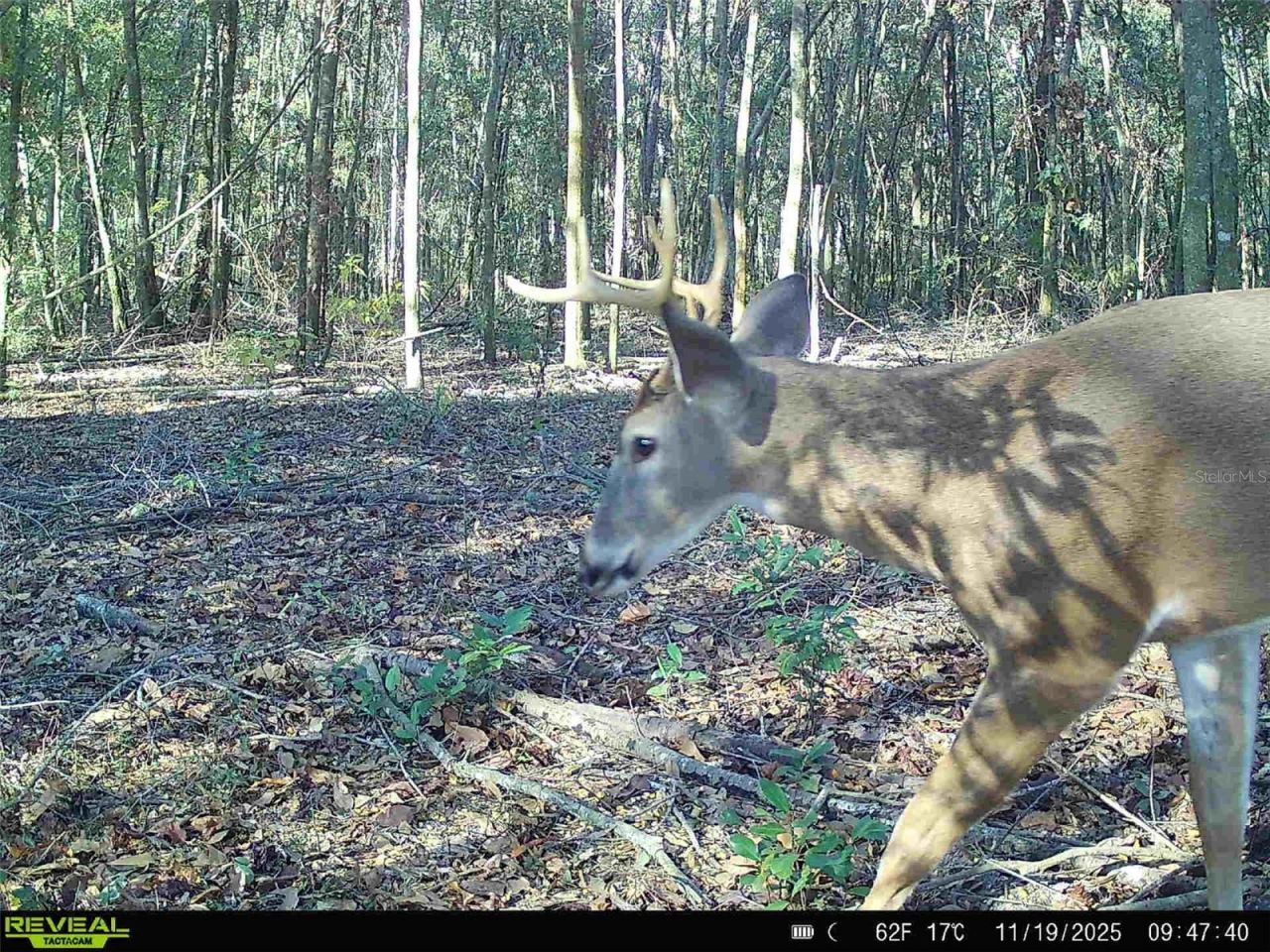 00 121st Rd, O Brien, FL 32071 Photo