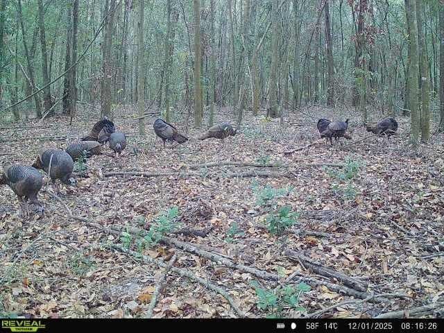 00 121st Rd, O Brien, FL 32071 Photo