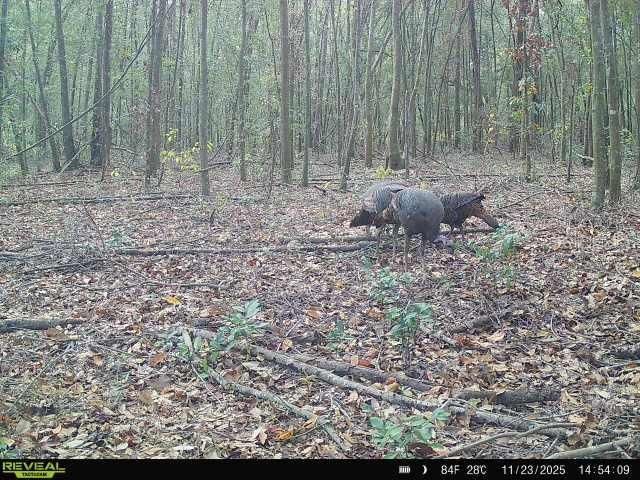 00 121st Rd, O Brien, FL 32071 Photo