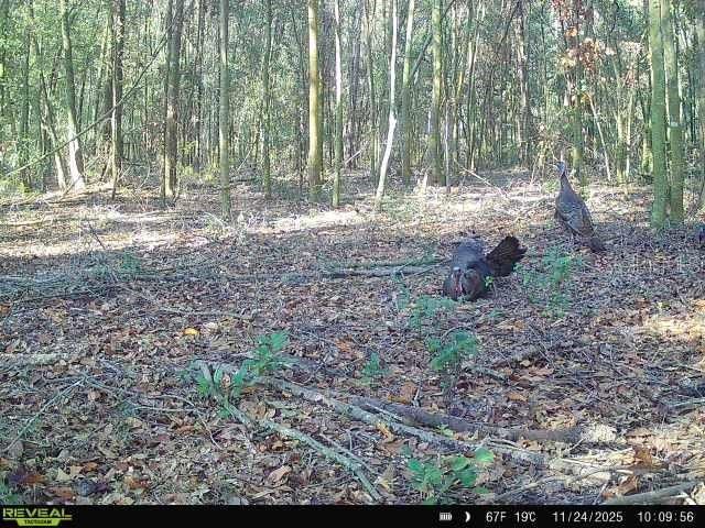 00 121st Rd, O Brien, FL 32071 Photo