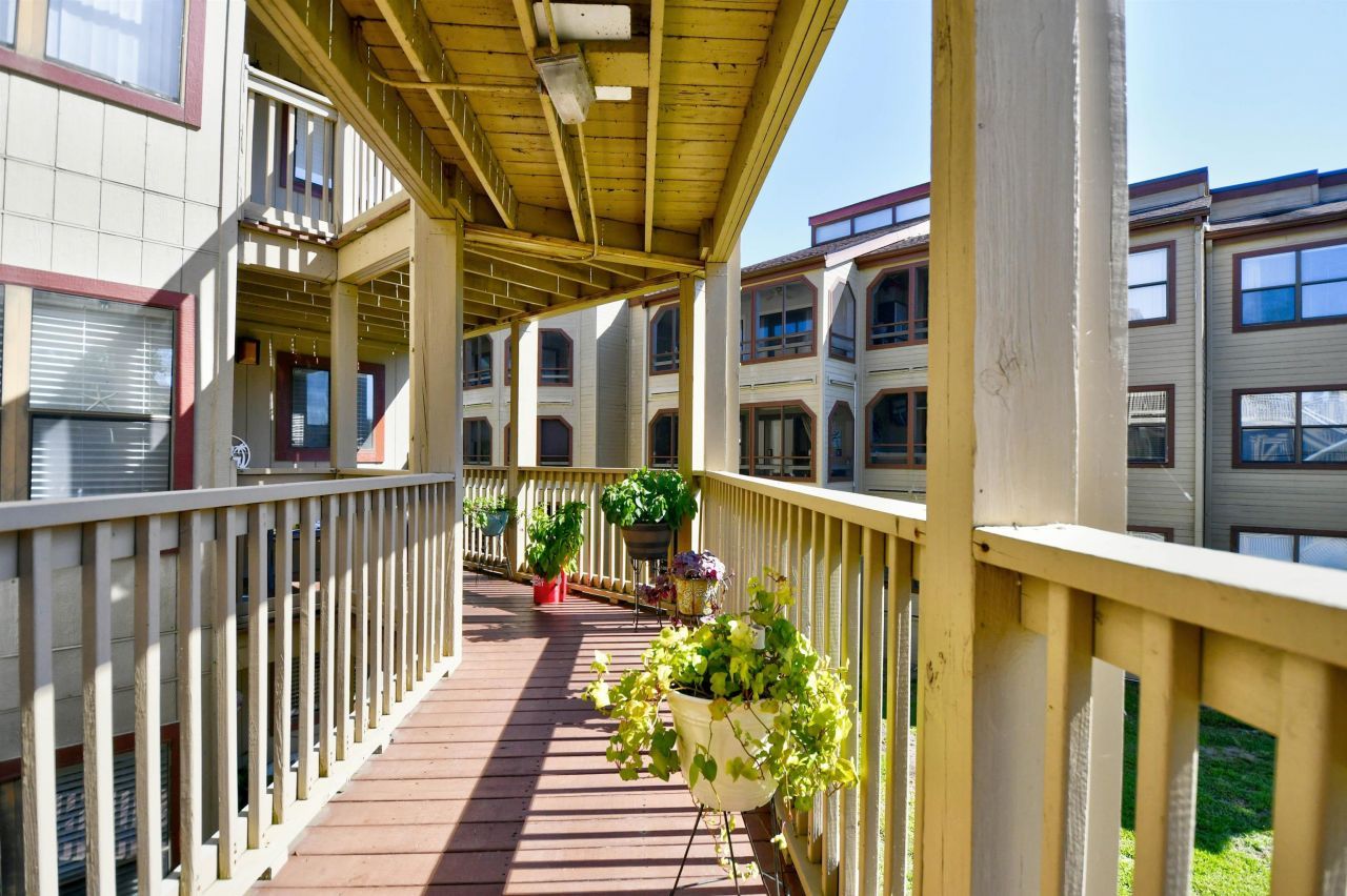 501 Maison Dr.  Photo 5