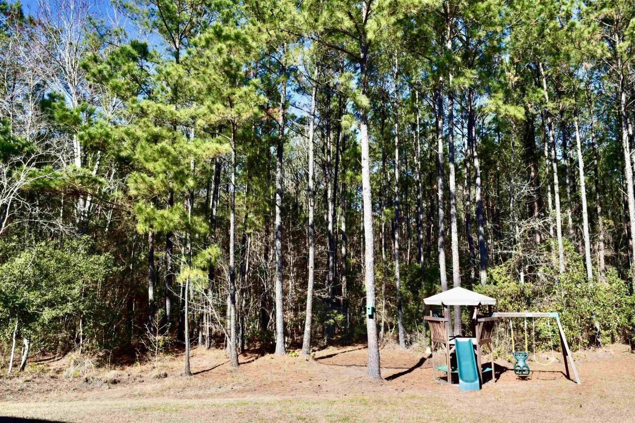 372 Emery Oak Dr. Photo 42