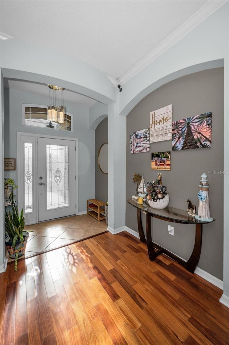 9144 Topneck Street, New Port Richey, FL 34654 Photo