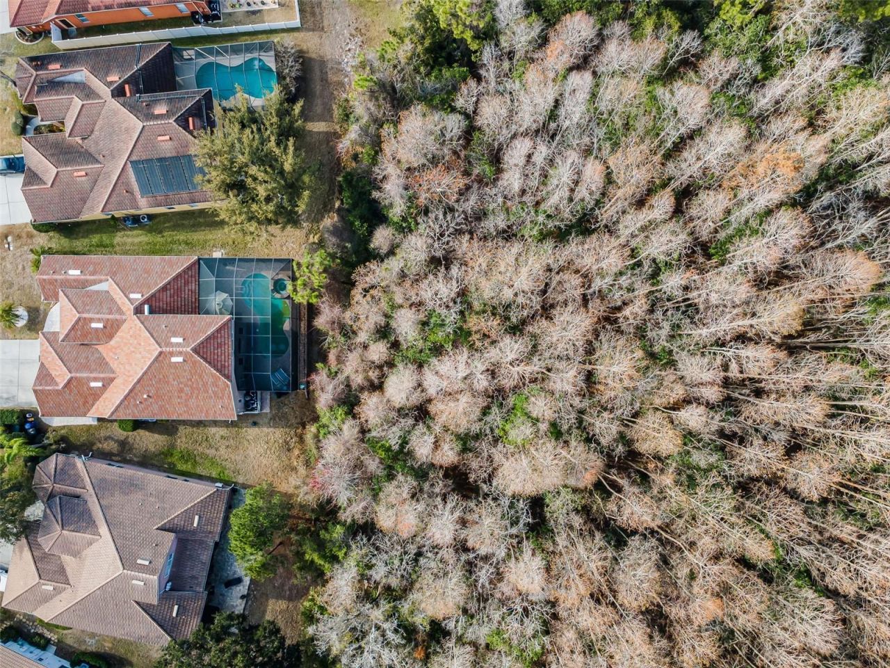 9144 Topneck Street, New Port Richey, FL 34654 Photo