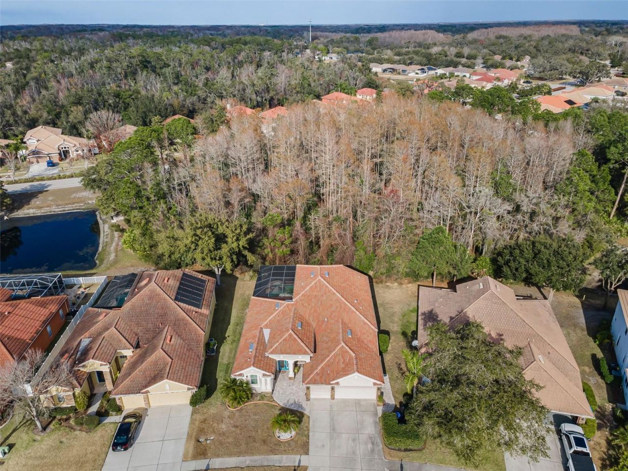 9144 Topneck Street, New Port Richey, FL 34654 Photo