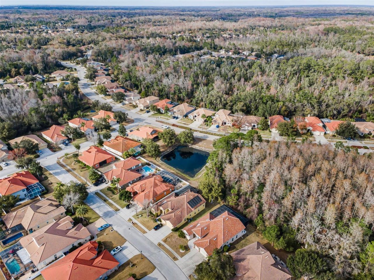 9144 Topneck Street, New Port Richey, FL 34654 Photo