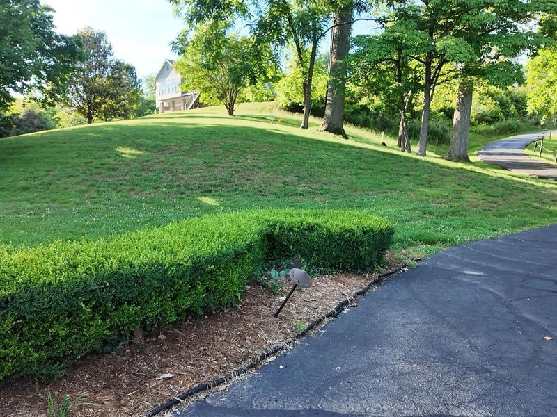 7617 Sunhill Drive, Wheelersburg, OH 45694 Photo 71