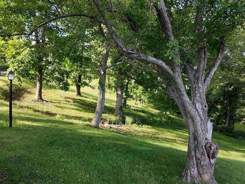 7617 Sunhill Drive, Wheelersburg, OH 45694 Photo 74