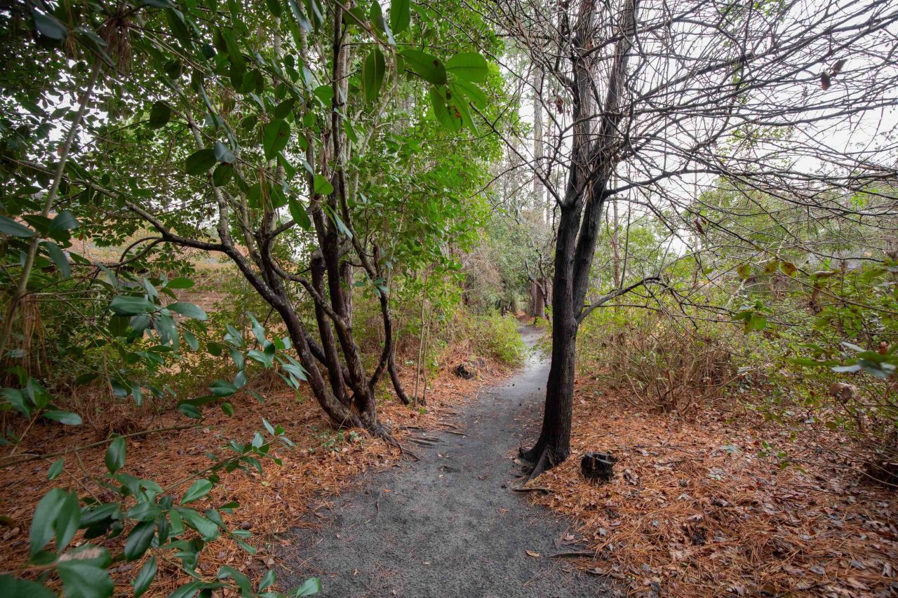 143 Myrtle Trace Dr. Photo 30