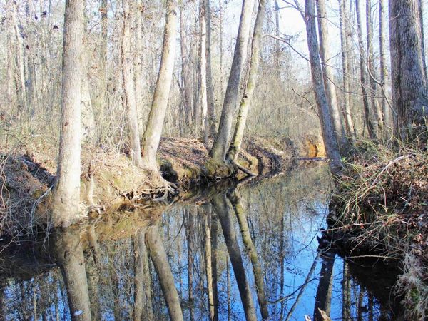 0 E Bivens Road, Quitman, AR 72131