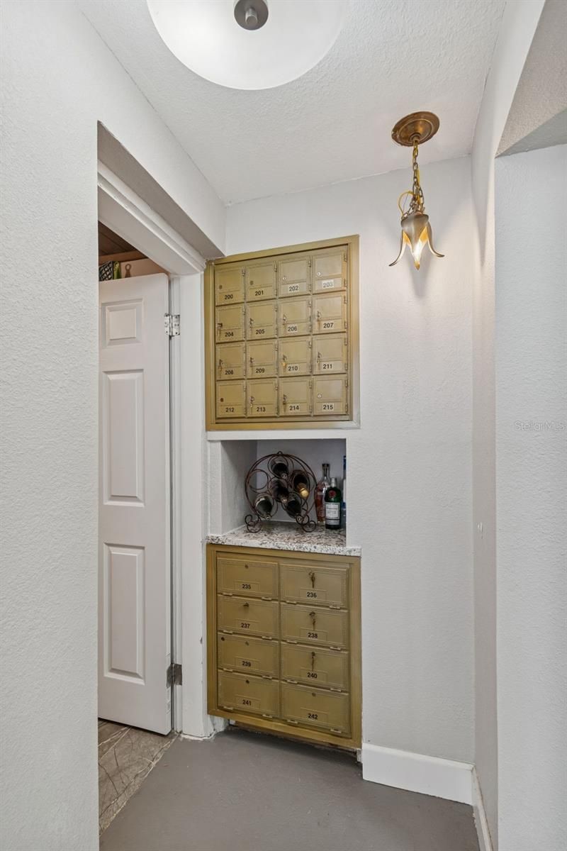 2427 Baywood Drive W, Dunedin, FL 34698 Photo