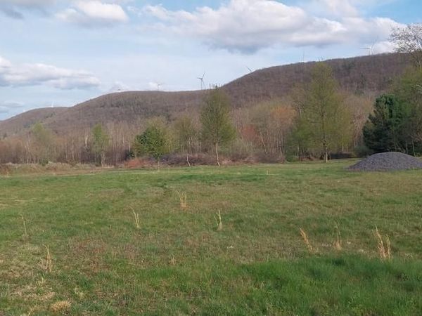 160 E SPRUCE STREET, RINGTOWN, PA 17967