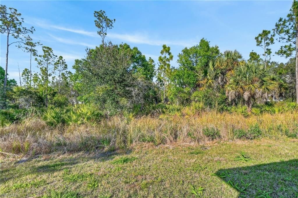 1103 E 7th St , Lehigh Acres, FL 33972 Photo