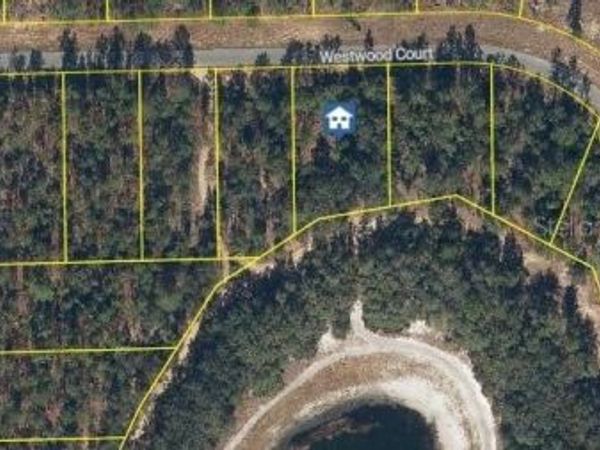 115 WESTWOOD COURT, INTERLACHEN, FL 32148