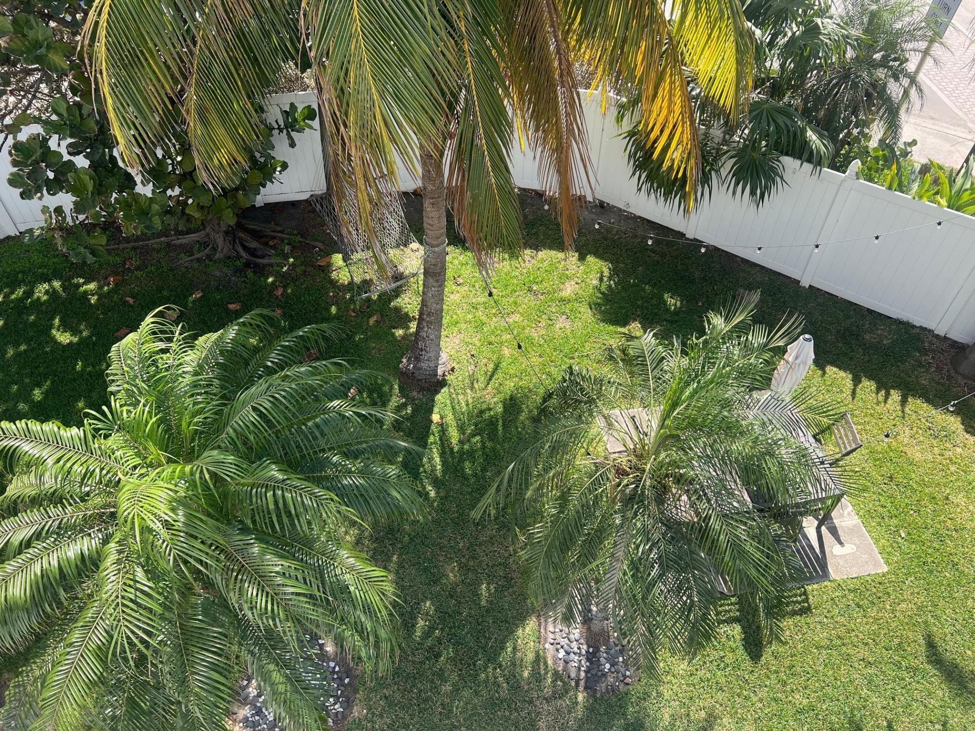 355 Virginia Street, Hollywood, FL 33019 Photo