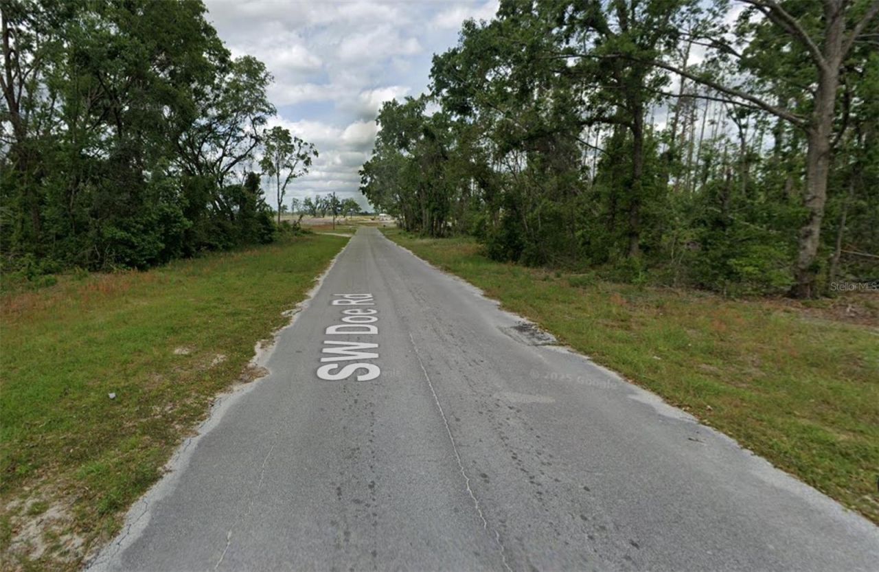 00 SW Doe Road, Mayo, FL 32066 Photo