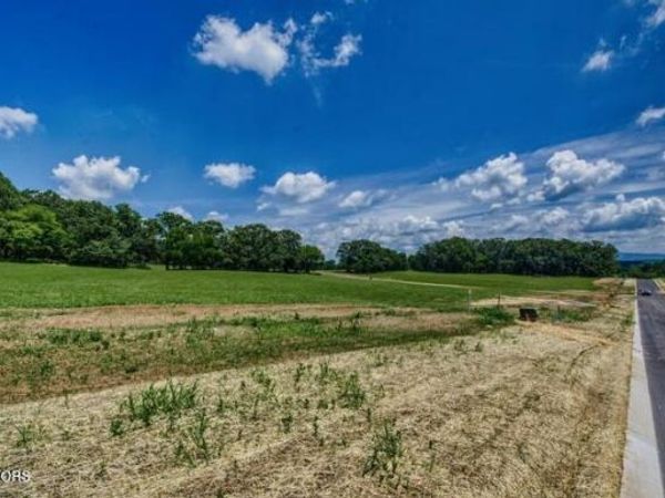 LOT 9R 848 Sophie Drive , Greenback, TN 37742