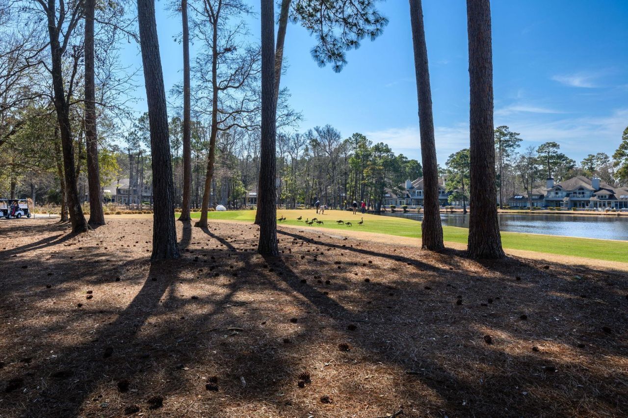 1822 Topsail Ln. Photo 33