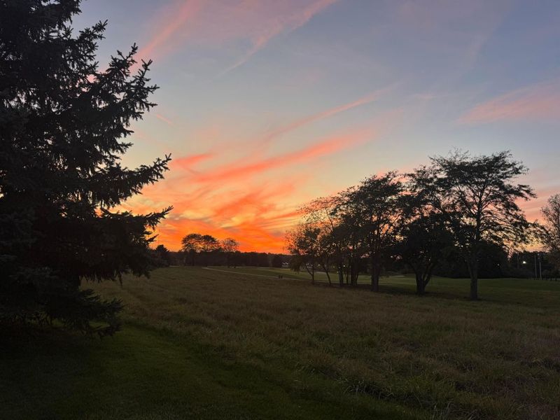 7707 Glenmore Drive, Powell, OH 43065 Photo 38