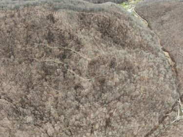 0 Darby Branch Road, Manchester, KY 40962