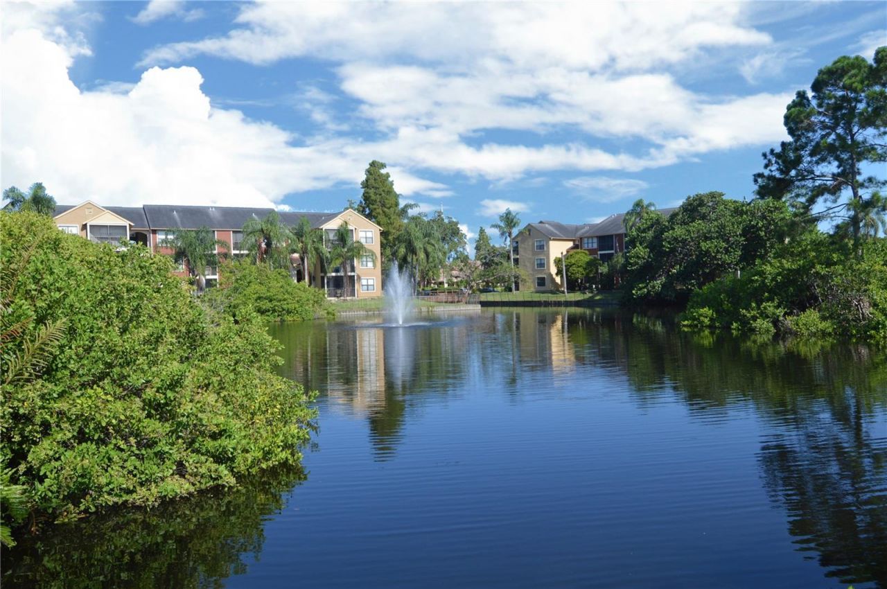 11901 4th Street N, Unit 10105, Saint Petersburg, FL 33716 Photo