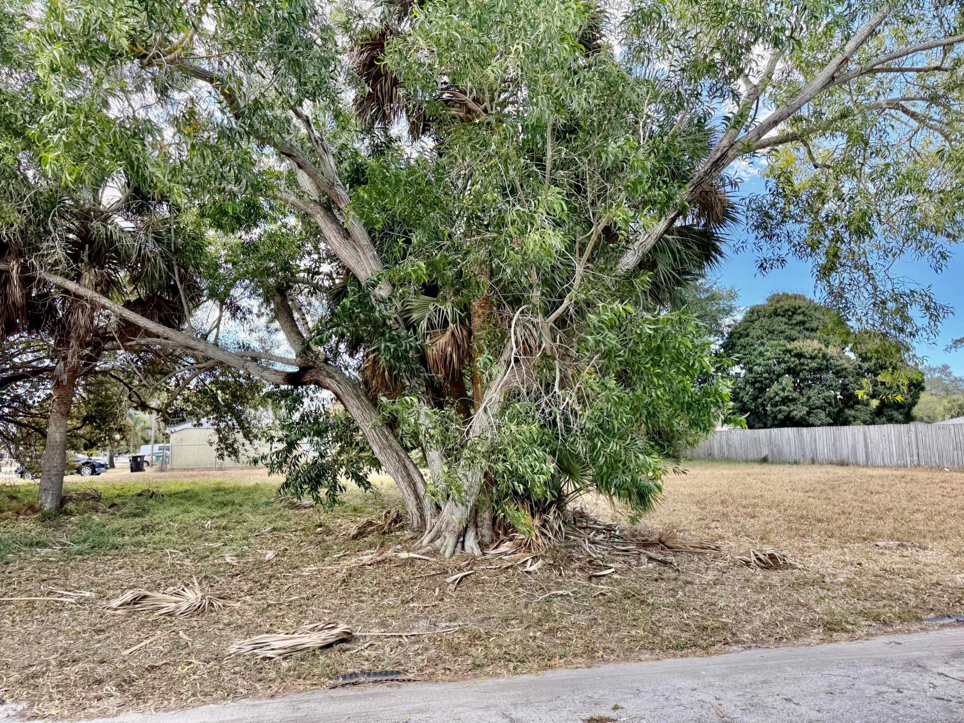 401 SW Tulip Boulevard, Port Saint Lucie, FL 34953 Photo