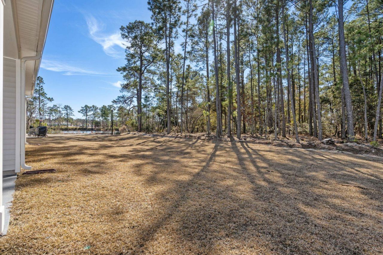 4341 Falls Oaks St.  Photo 18