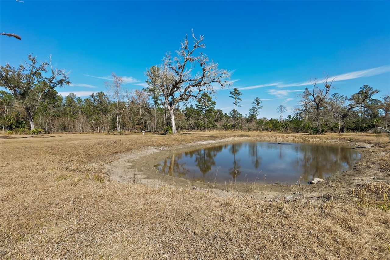 9797 County Road 305, Bunnell, FL 32110 Photo