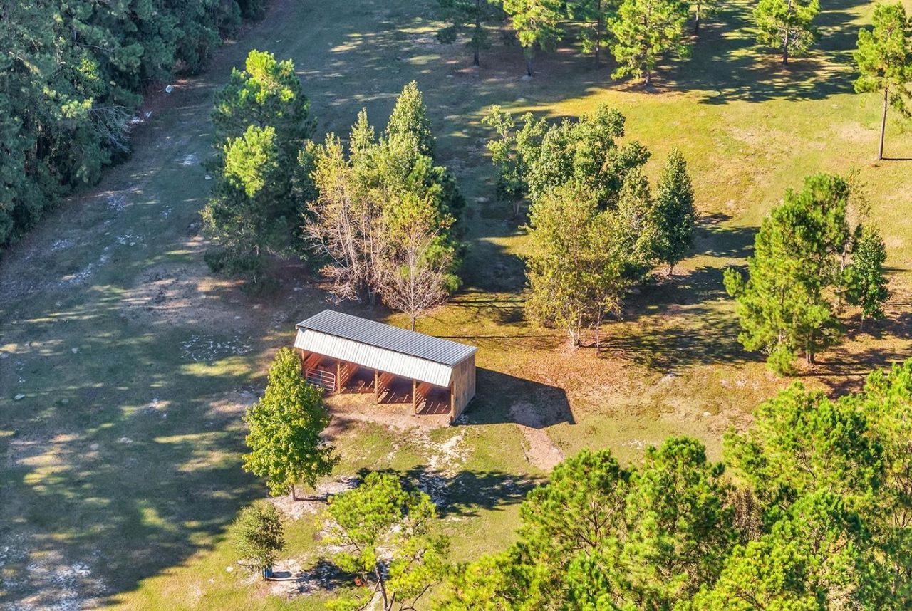 4013 Thomas Rd. Photo 30