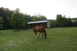 4013 Thomas Rd. photo 4