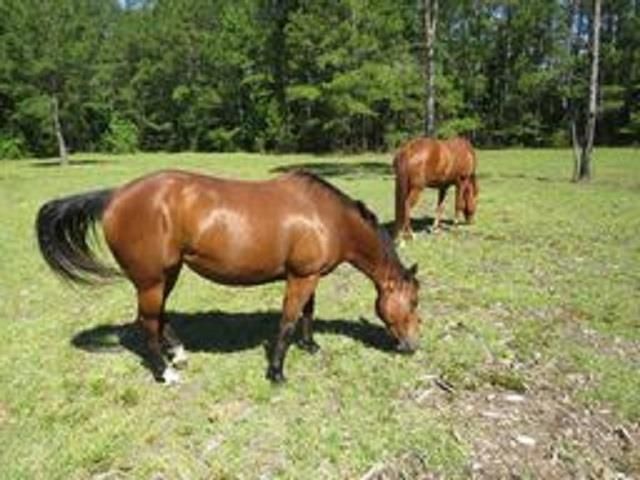 4013 Thomas Rd. Photo 5