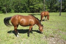 4013 Thomas Rd. photo 4