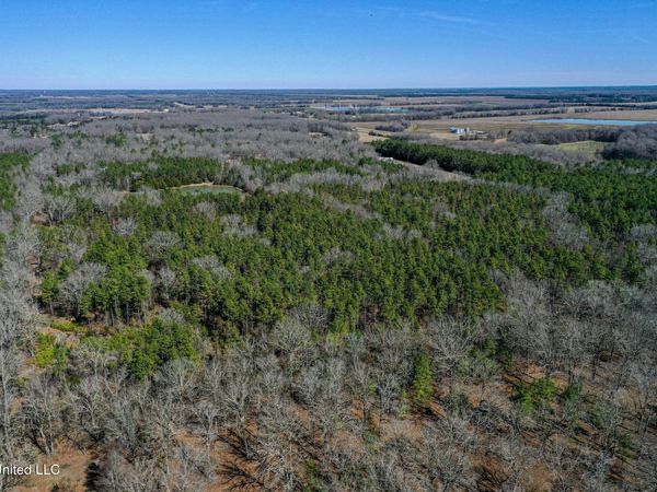 Dr Sears Road, West Point, MS 39773