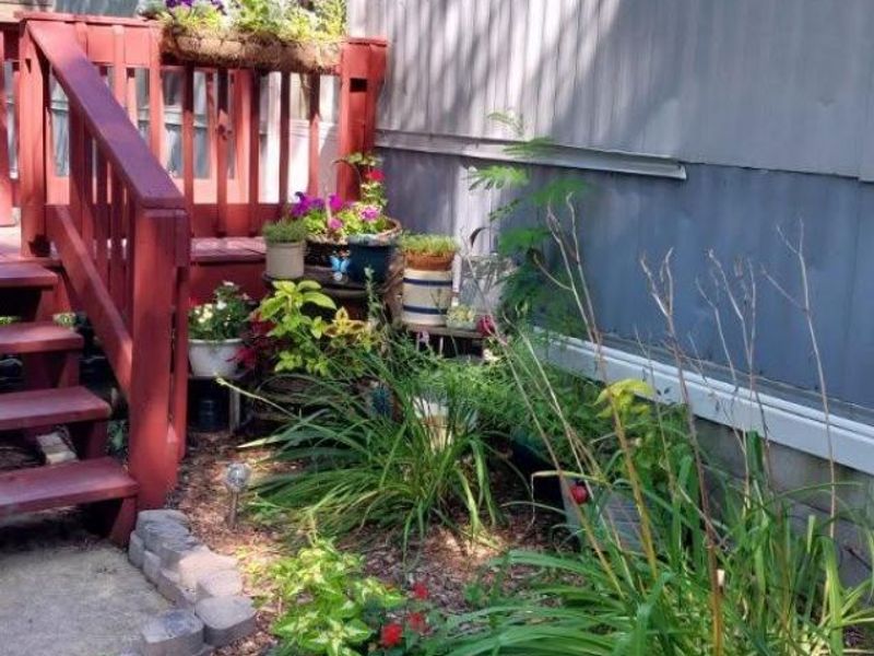 63 N Maple Street, New London, OH 44851 Photo 4