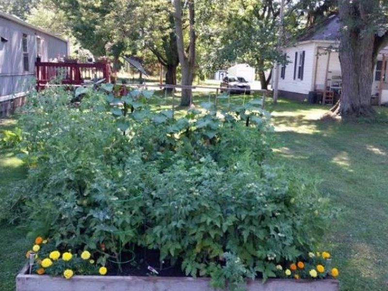 63 N Maple Street, New London, OH 44851 Photo 7