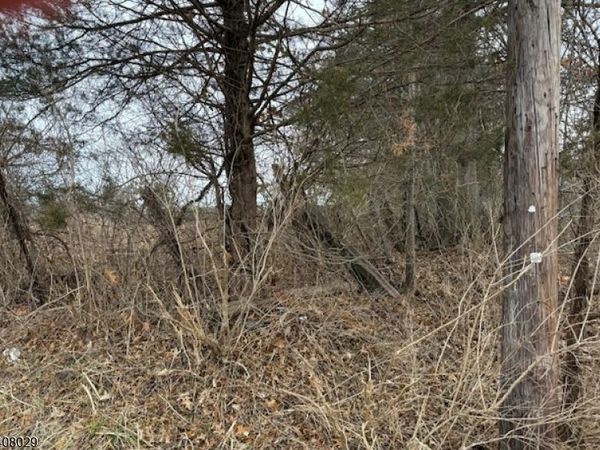 23 Coddington Road, Readington, NJ 08889