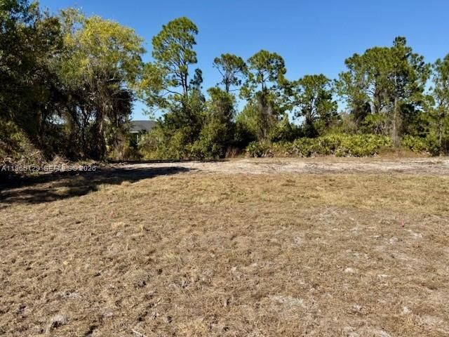 737 E Theodore Vail Street , Lehigh Acres, FL 33974 Photo