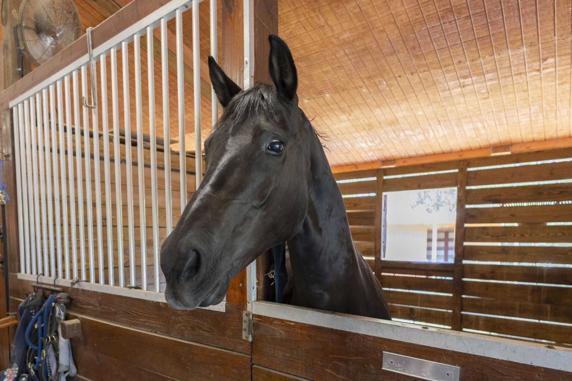 852 Cindy Drive, Wellington, FL 33414 Photo