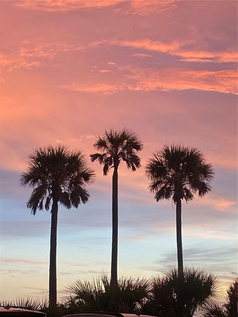 843 Molly Circle, Sarasota, FL 34232 Photo