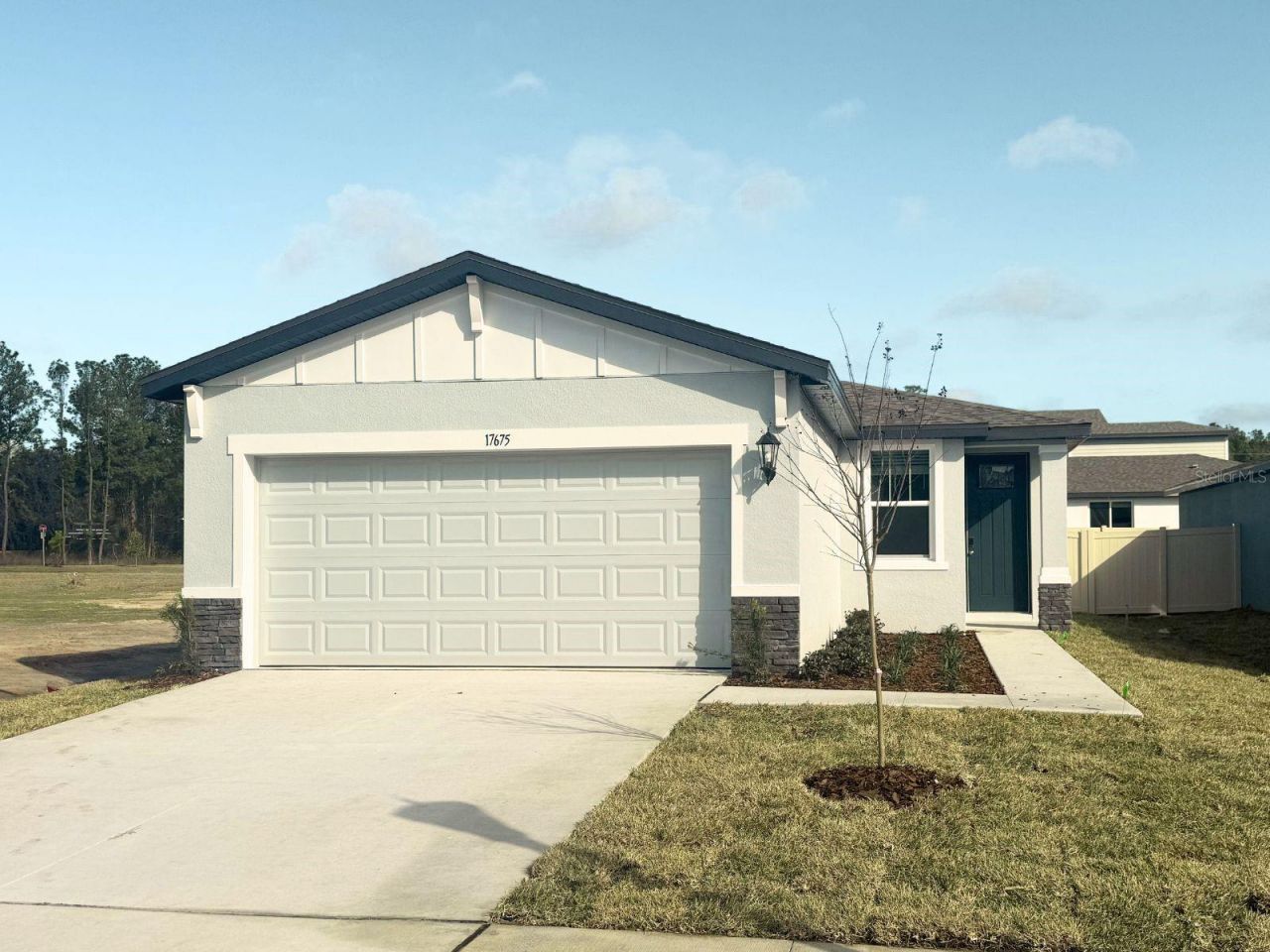 17675 Olive Thorn Drive, Brooksville, FL 34601 Main Photo