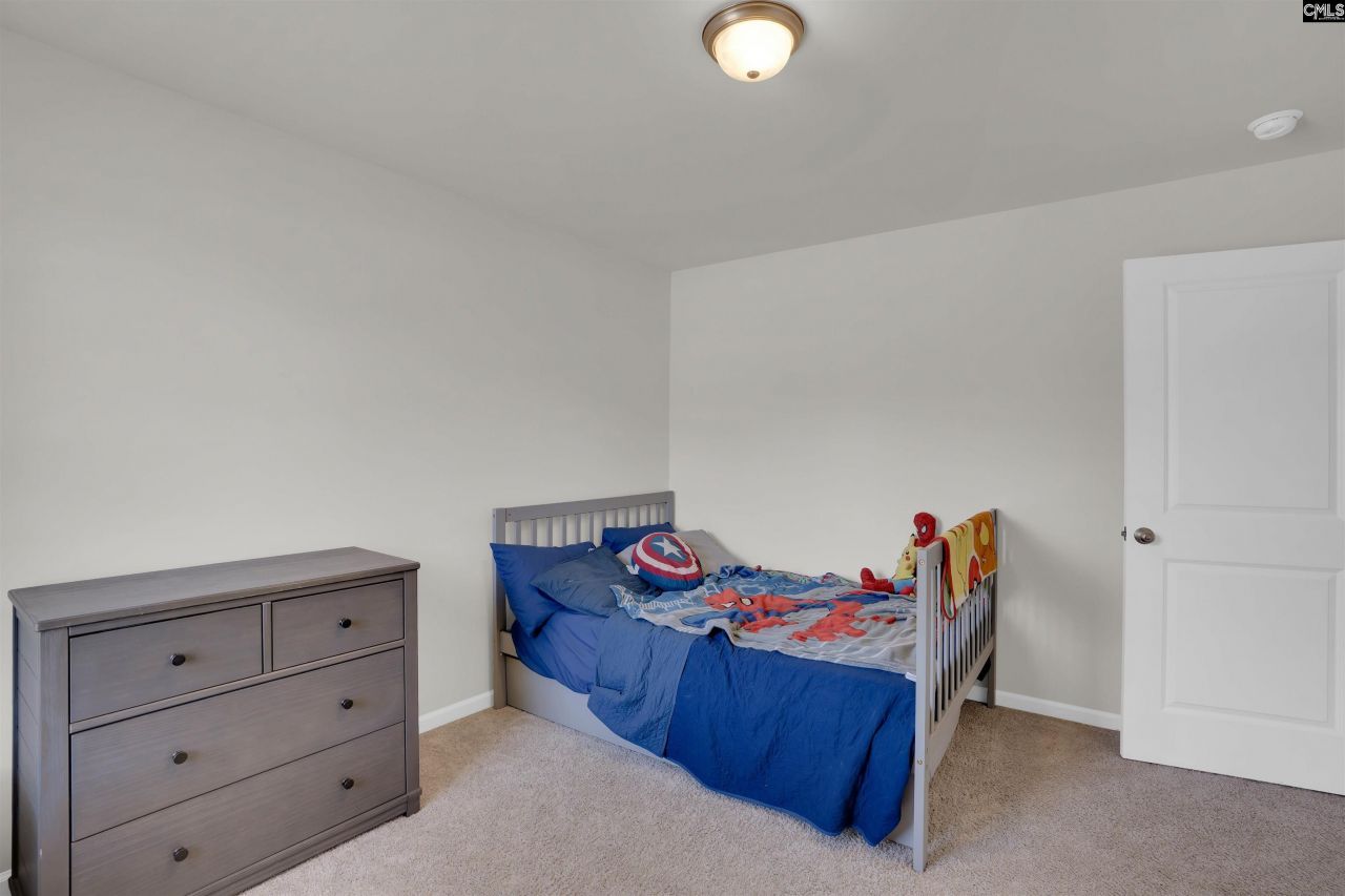 135 Savannah Wood Road Photo 37