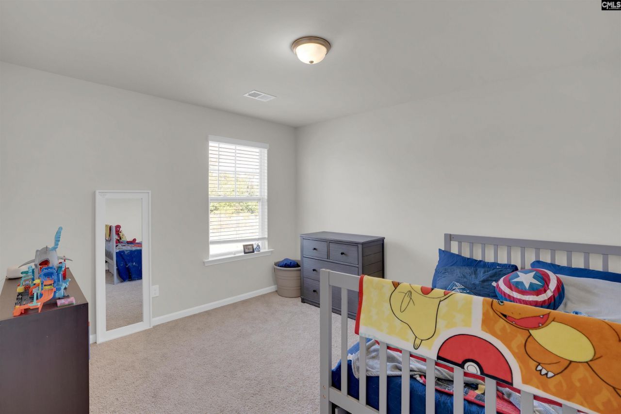 135 Savannah Wood Road Photo 39