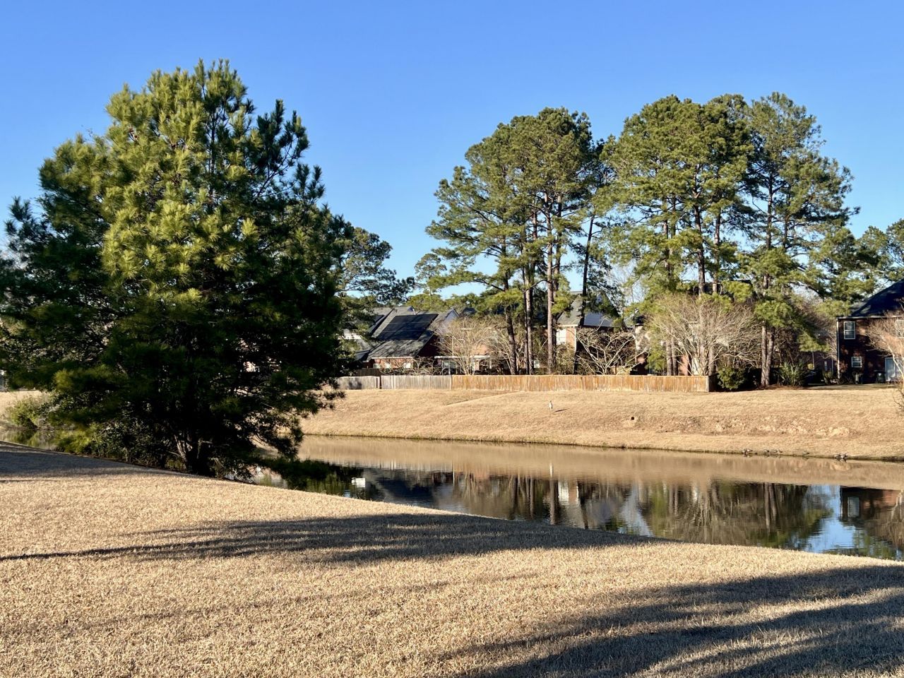 8765 Alexandria Drive Drive Photo 53