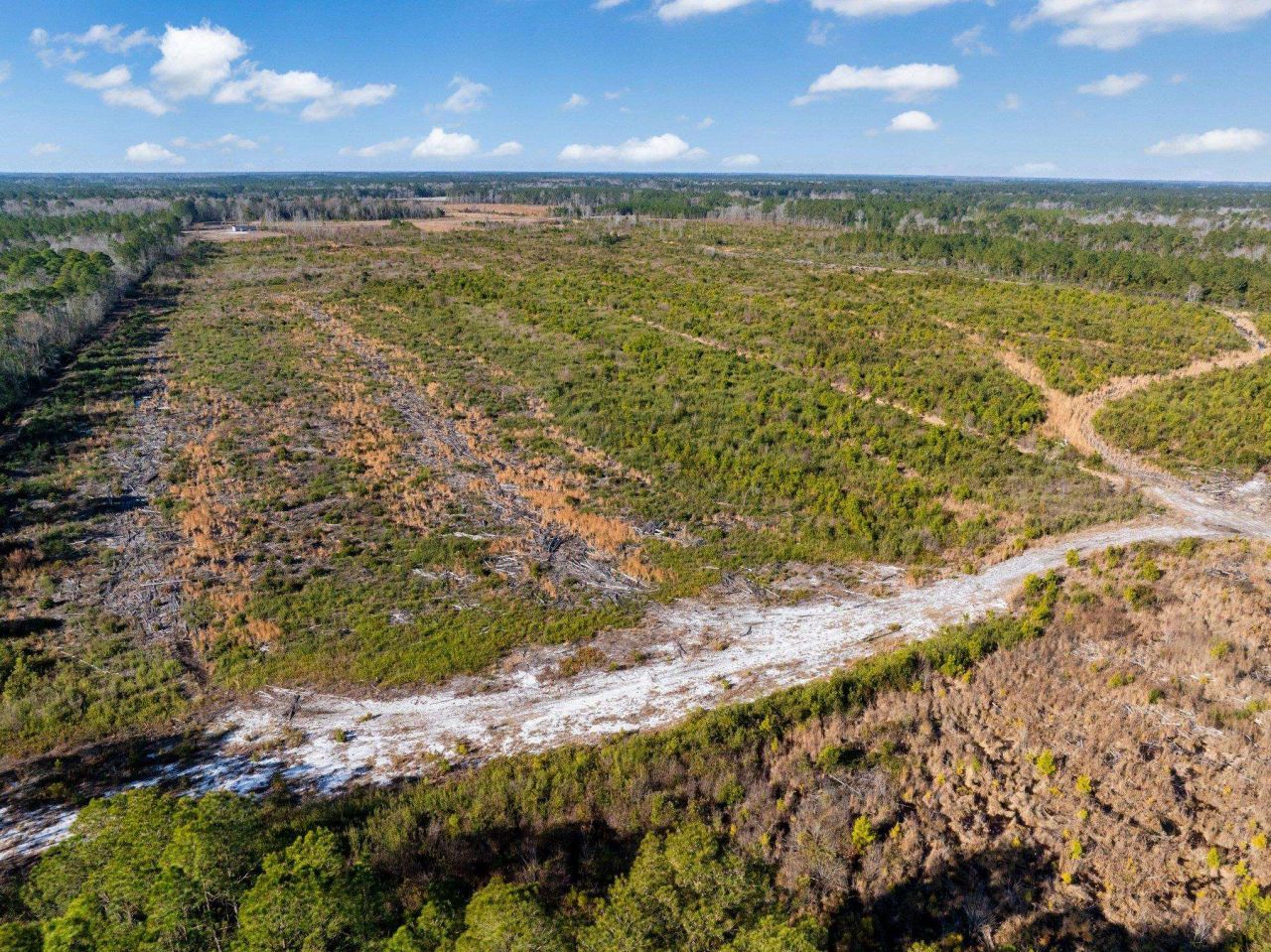 100 Acres Fifteen Mile Bay Rd. Photo 10
